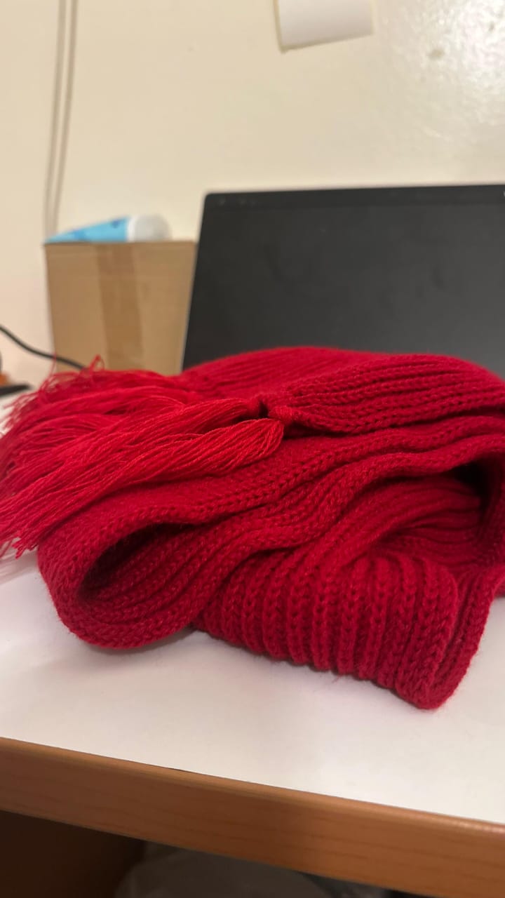 Écharpe Rouge « Mikasa » – Tendance 2025